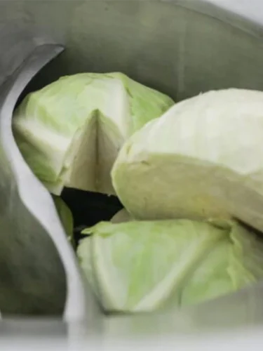 S40_CABBAGE S40_CABBAGE